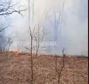 В Апшеронском районе горит сухая трава в лесу